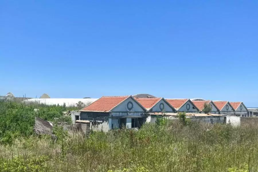 土地