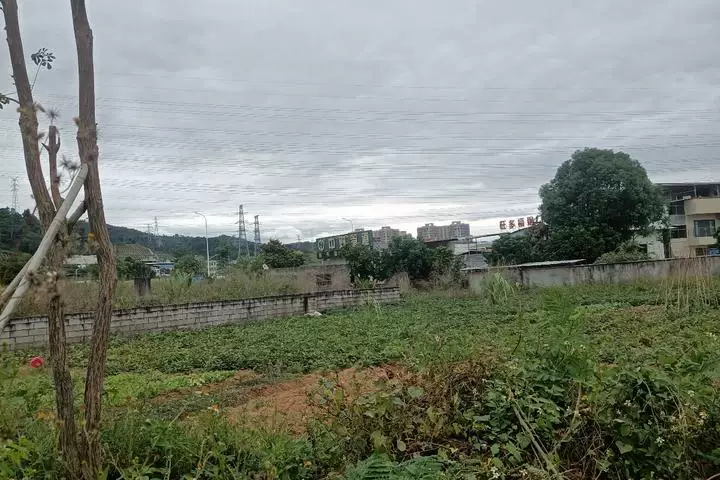 土地