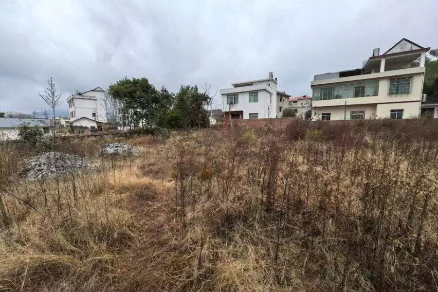 土地