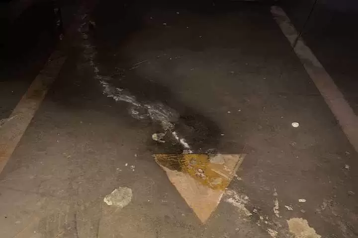 房产