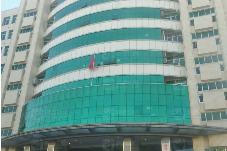 股权