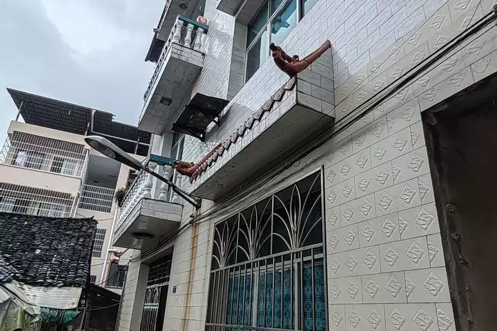 土地