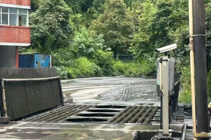 股权