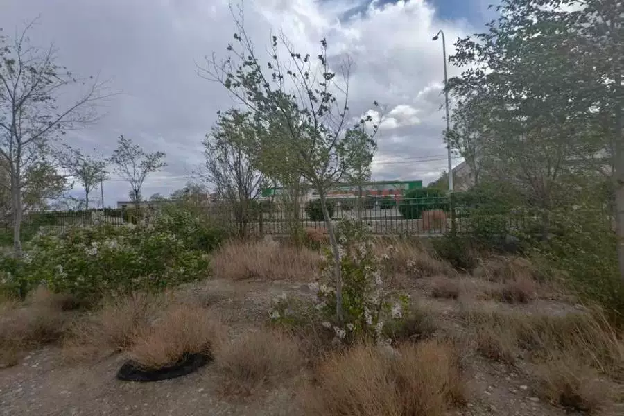 土地