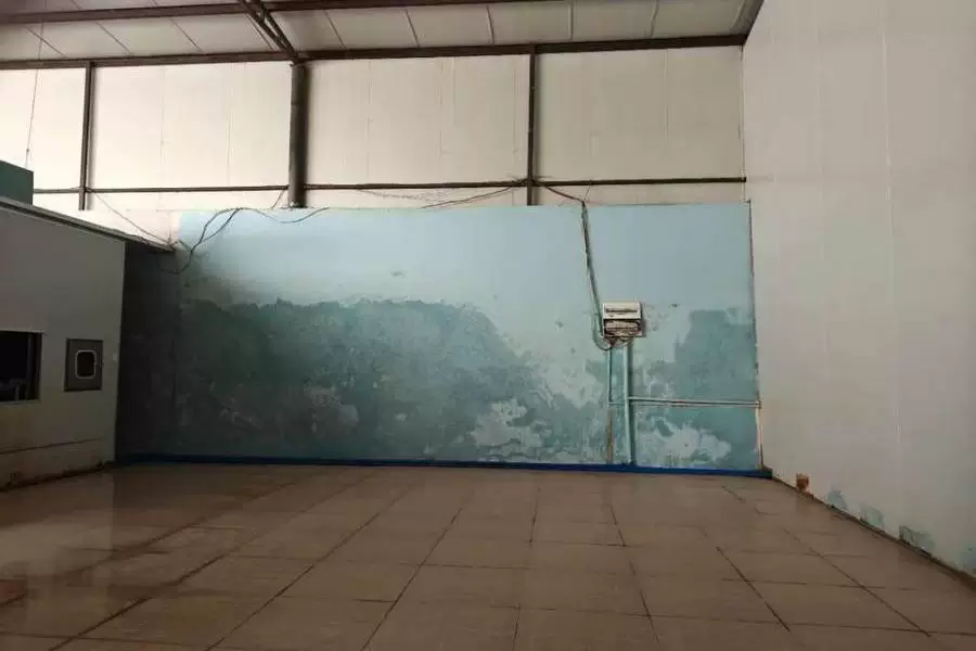 股权