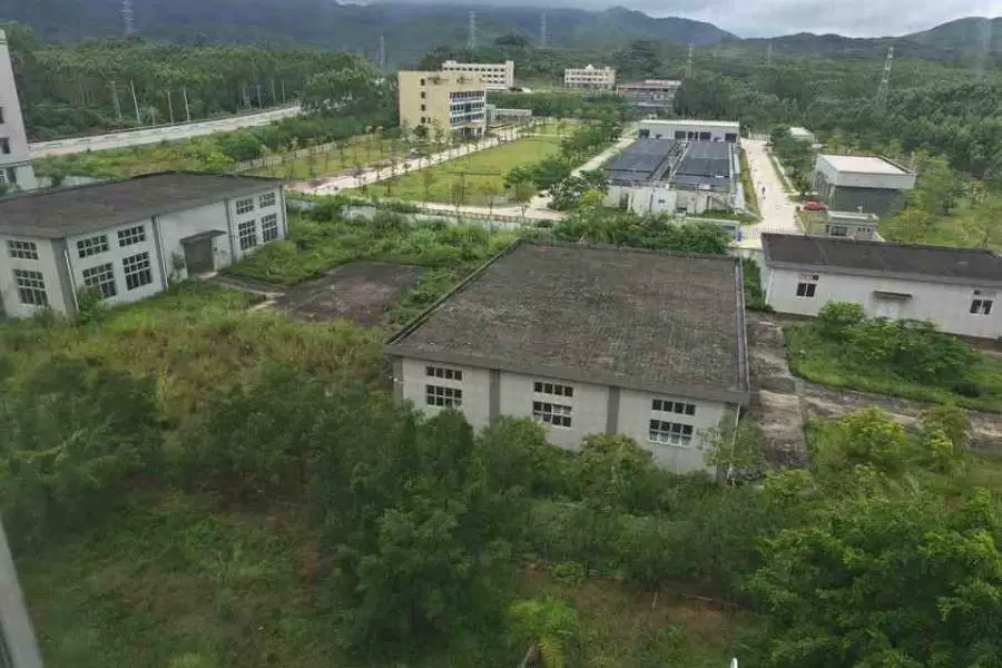 股权