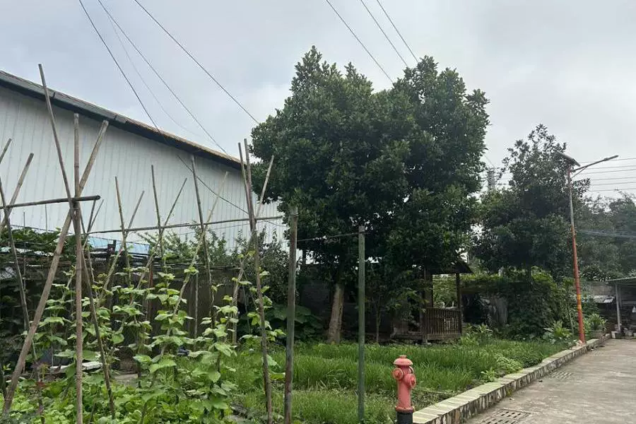 土地
