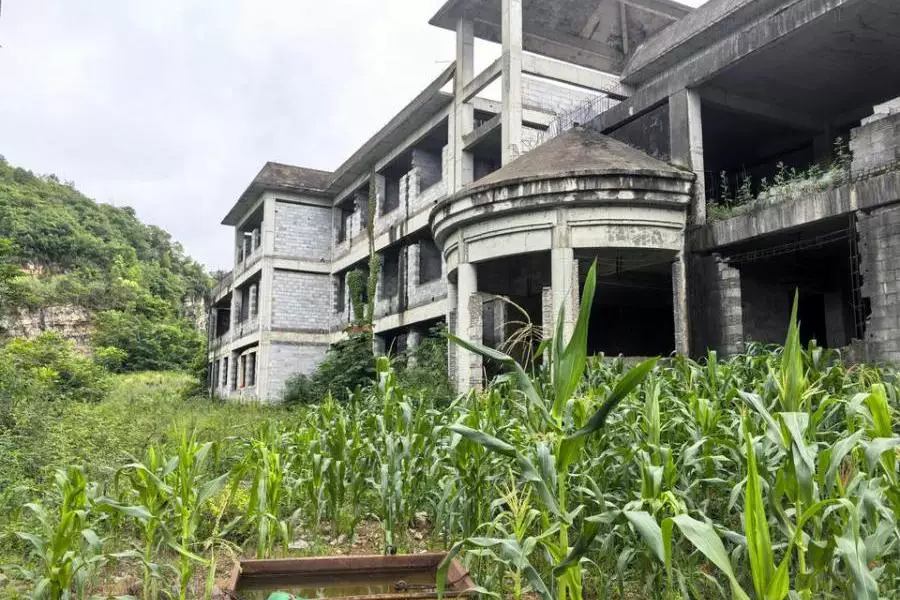 土地