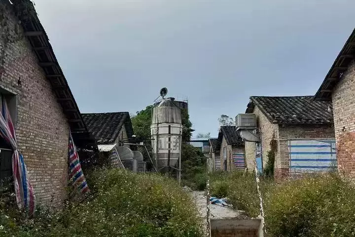 土地